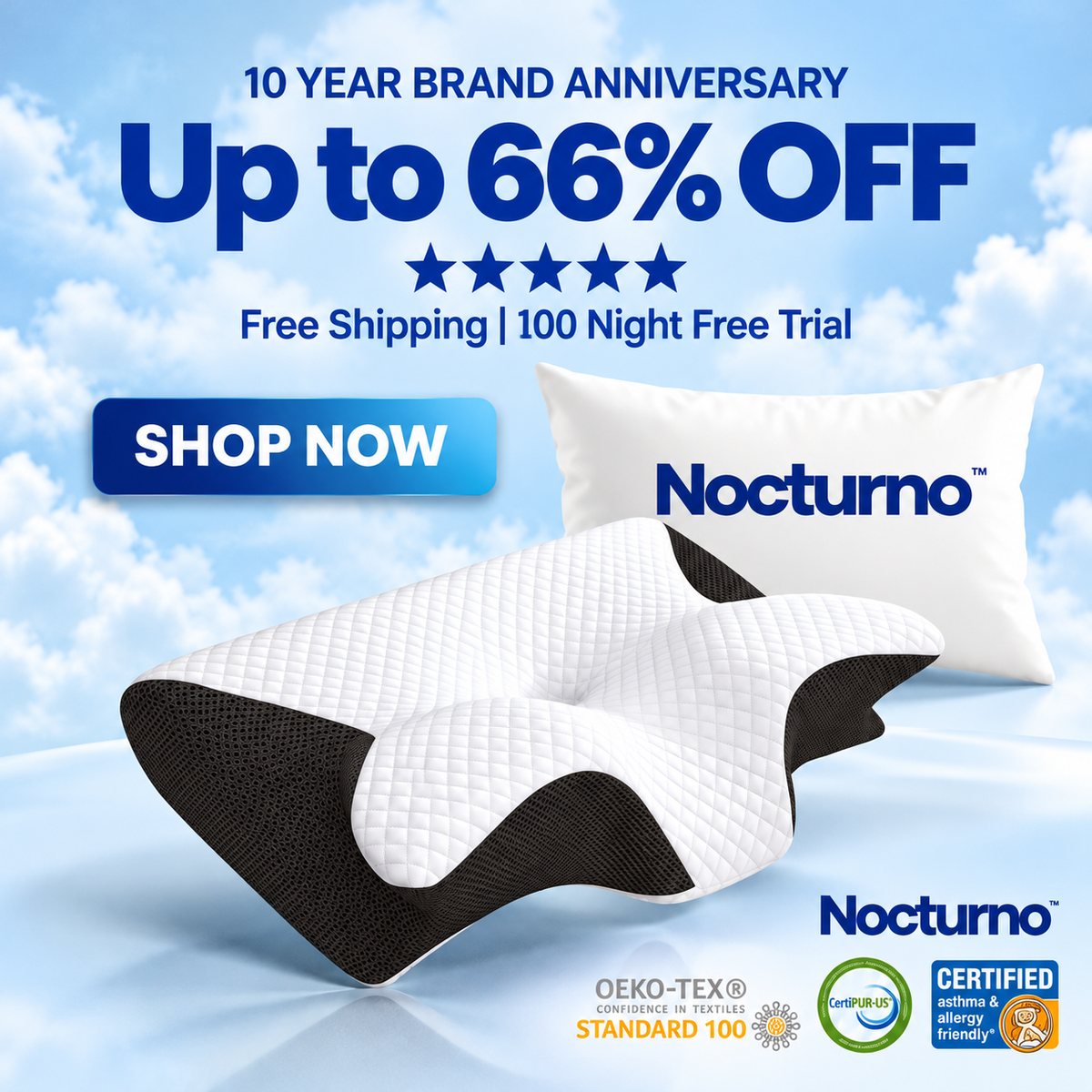 Nocturno™ Pillow